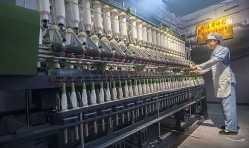 作為啤酒業的佼佼者,青島啤酒是如何維護自身品牌的