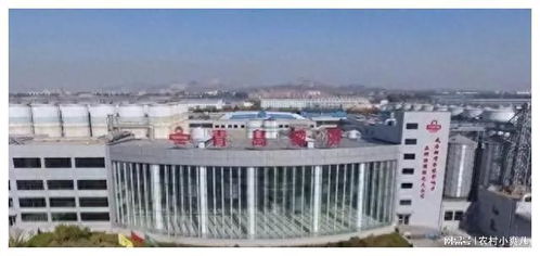 青島啤酒三廠工人竟然在原料倉小便,網友 這啤酒還能喝嗎