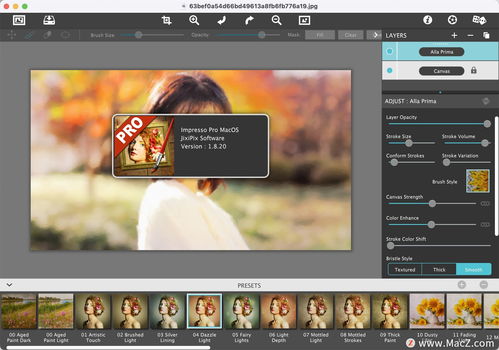 jixipix artista impresso pro 油畫(huà)效果濾鏡插件